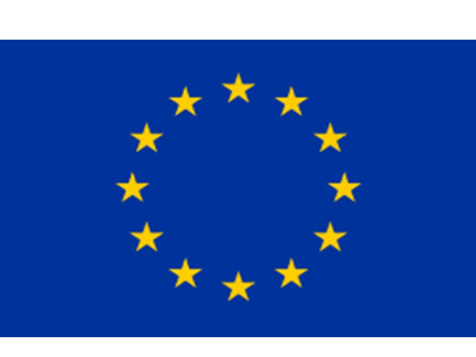 EU plans tariffs of 25%-50% on Chinese steel and related products — report