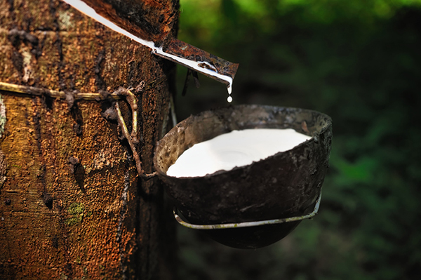 India: Rubber output takes a hit; tyre-makers want easing of import clamps